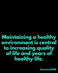 Maintaining a healthy environment is central to increasing quality of life and years of healthy life. (1).jpg