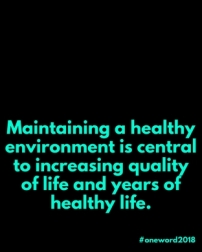 Maintaining a healthy environment is central to increasing quality of life and years of healthy life. (1).jpg