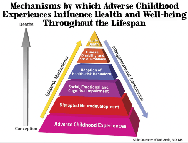 screen shot 2019-01-09 at 7.42.31 pm